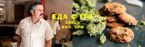 МДПВ Ельня
