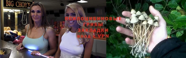 МДПВ Ельня