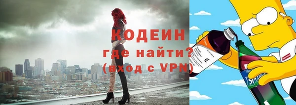 хмурый Елизово