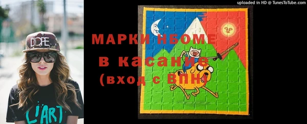 хмурый Елизово