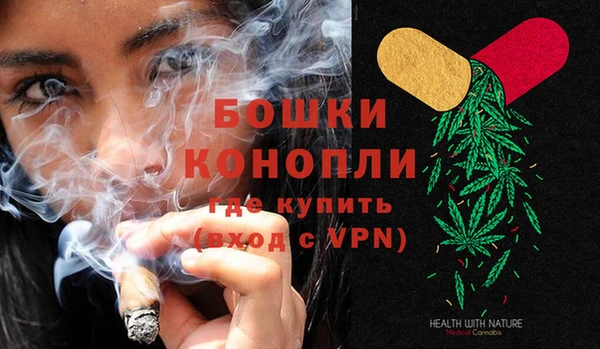 МДПВ Ельня