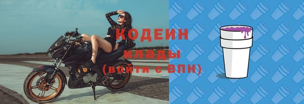 МДПВ Ельня