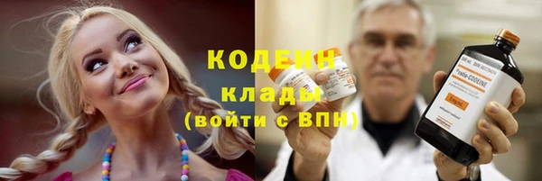 хмурый Елизово