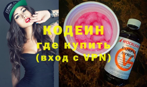 хмурый Елизово