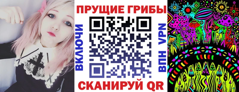 Купить где  Ковров  Галлюциногенные грибы Cubensis 